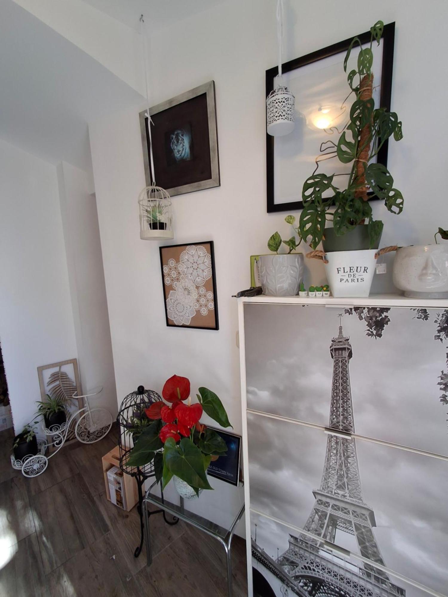 Old Town Sole Apartment Split Exterior photo